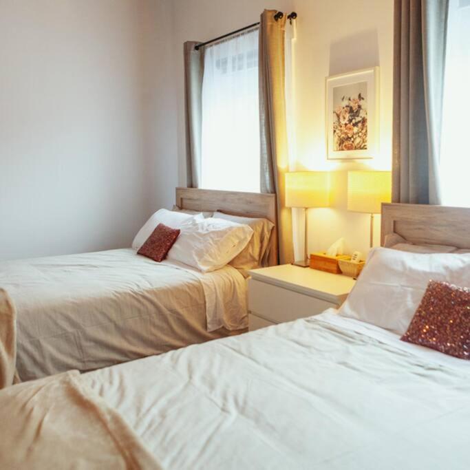 贝尔维尔Large Upstairs Flat In Downtown Century Building公寓 外观 照片