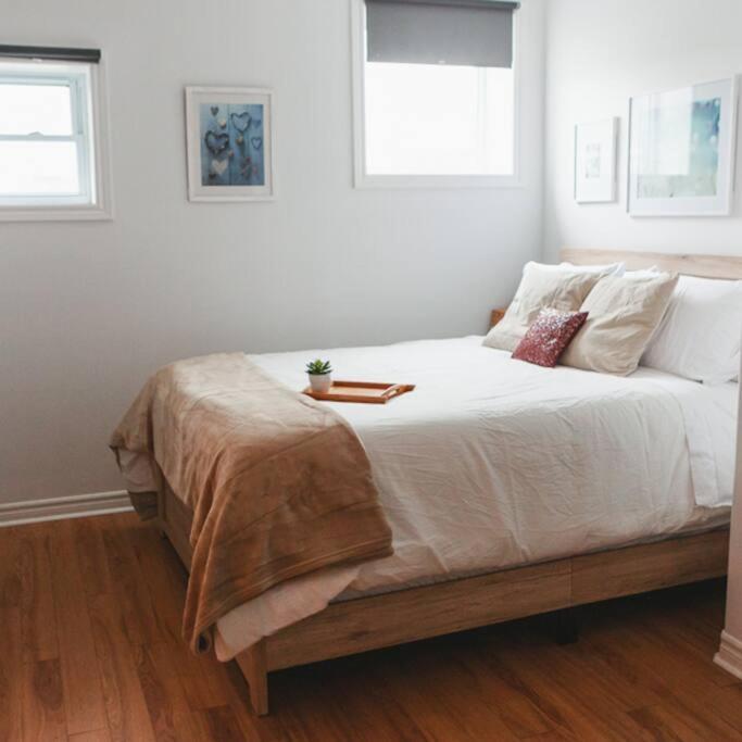 贝尔维尔Large Upstairs Flat In Downtown Century Building公寓 外观 照片